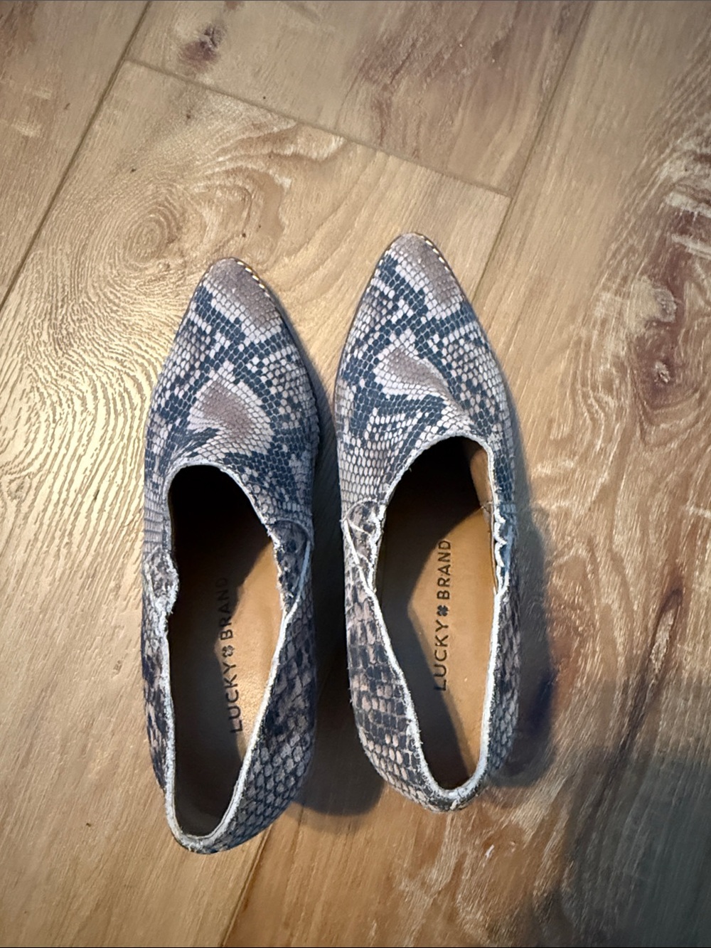 Lucky Brand Women's Snake-Print Pointed Toe Flats in Gray and White